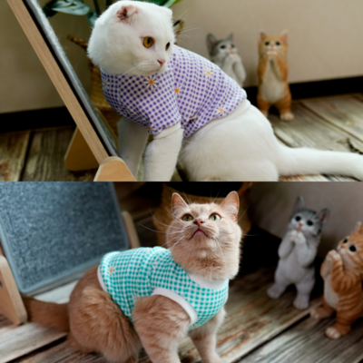 아리캣 고양이전용 데이지 민소매 반팔 티셔츠 나시티 미용후 그루밍방지 스핑크스 옷