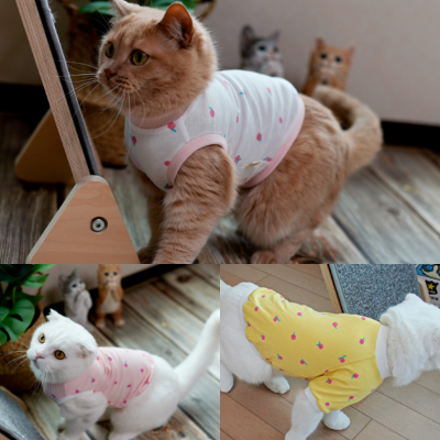 (여름용) 아리캣 고양이전용 피치 민소매 반팔 티셔츠 나시티 미용후 그루밍방지 스핑크스 옷