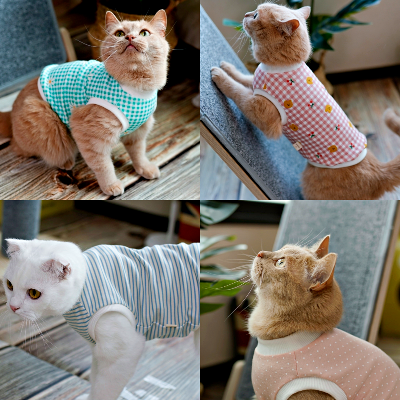 [오가닉·무형광] 아리캣 고양이전용 민소매 티셔츠 나시티 미용후 그루밍방지 스핑크스 전용옷